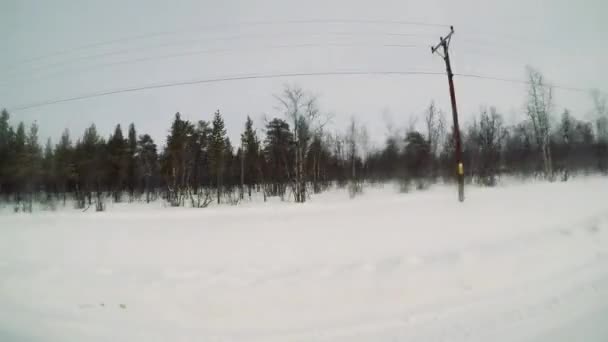 Paisagem de inverno na Suécia — Vídeo de Stock