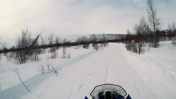 El hombre conduce la moto de nieve a través de la naturaleza — Vídeos de Stock