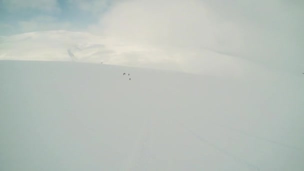 Man skiër skiën berg af met vrienden — Stockvideo