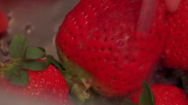 En kvinna tvättar jordgubbar i en diskbänk — Stockvideo
