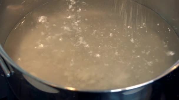 Polvo de gelatina se vierte en una olla de agua — Vídeos de Stock