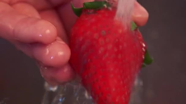 Una donna lava le fragole una dopo l'altra sotto un rubinetto — Video Stock