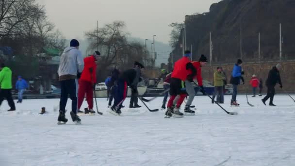 Bambini e adulti giocano a hockey — Video Stock