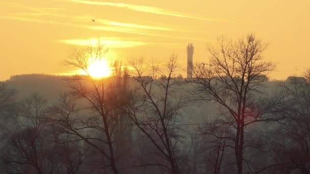 Um lindo pôr-do-sol dourado — Vídeo de Stock