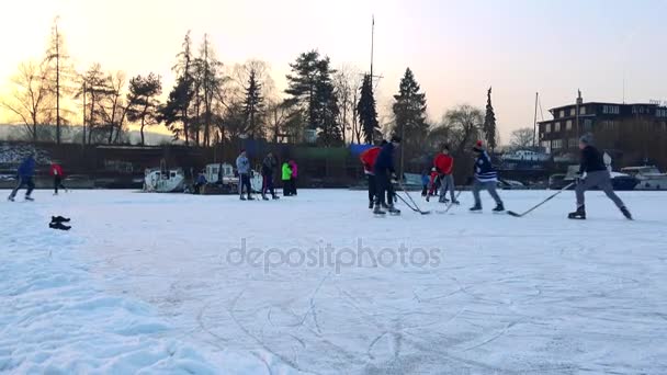 Barn och vuxna spela hockey — Stockvideo