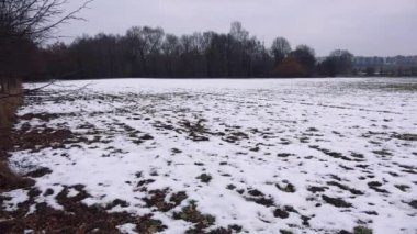 Karlı bir alanı bulutlu bir gün, bir orman ve bir kasaba