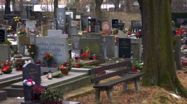 Çiçek ve mum eski bir mezarlıkta mezar