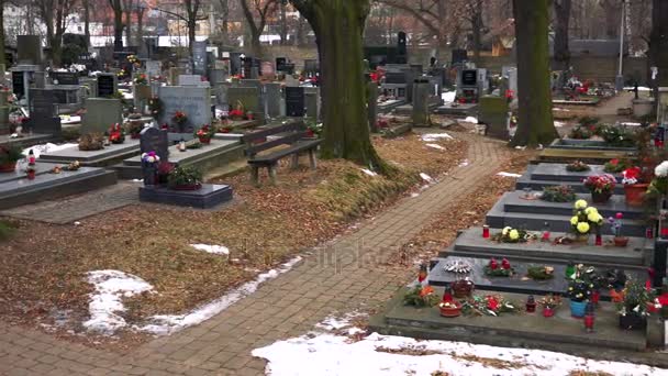 Graven met bloemen en kaarsen in een oude kerkhof — Stockvideo