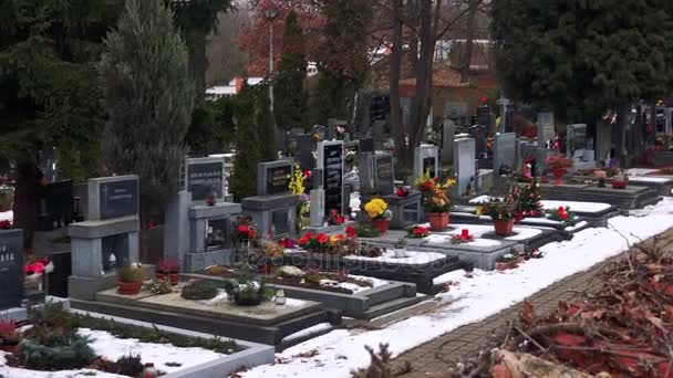 Могилы с цветами и свечами на старом кладбище — стоковое видео