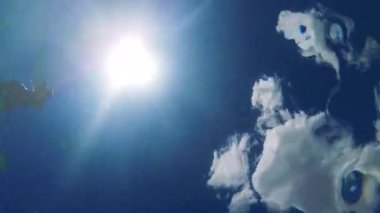 Adam havuz içine dalışlar 