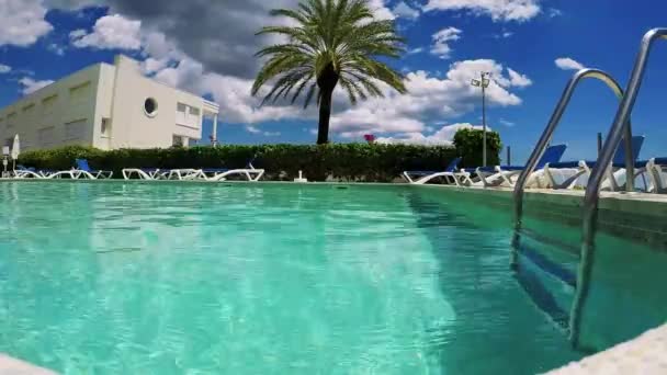 Swimming pool with camp beds, palm tree and house — Stock Video