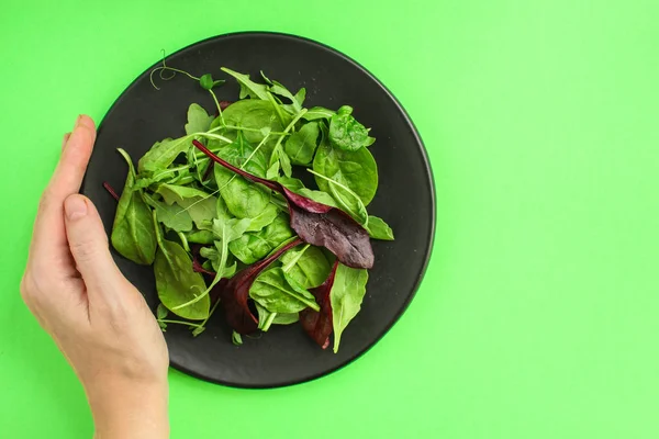 Healthy salad, leaves mix salad (mix micro greens, juicy snack, tomato). food background, Top imsge