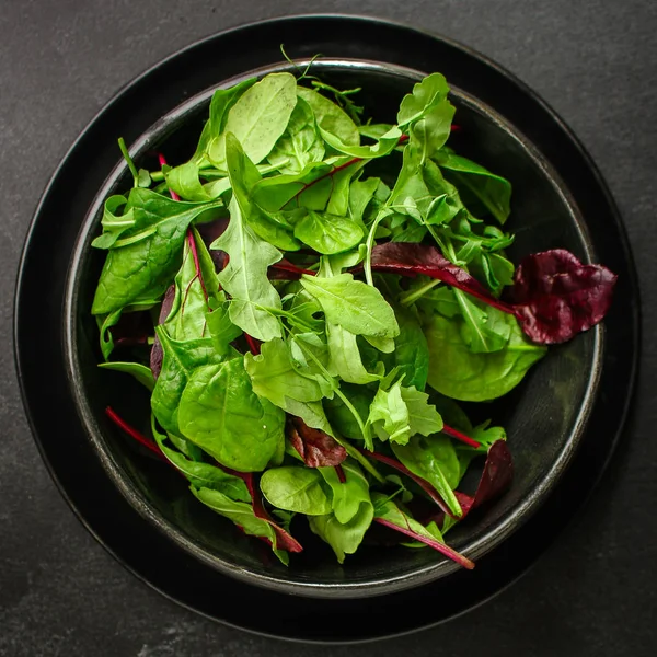 Healthy Salad Leaves Mix Salad Mix Micro Greens Juicy Snack — 스톡 사진