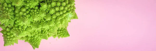 Romantikus Karfiol Káposzta Finom Zöldség Vitaminok Diétás Ételek Menü Koncepció — Stock Fotó