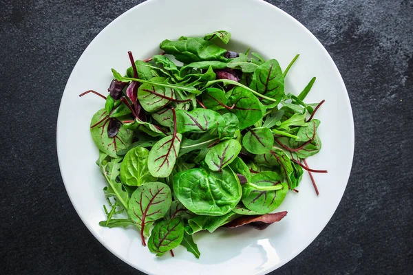 Healthy salad, leaves mix salad (mix micro greens, juicy snack). food background - copy space
