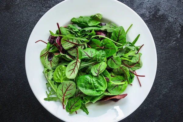 Salada Folhas Misturam Salada Micro Verdes Mistura Refeição Leve Suculenta — Fotografia de Stock