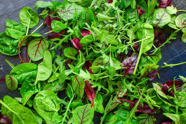 Healthy Salad Leaves Mix Salad Mix Micro Greens Juicy Snack — 스톡 사진