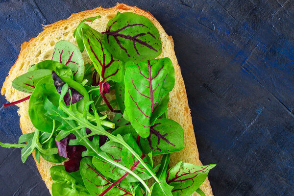 sandwich leaves mix lettuce microgreen (delicious snack, vegetarian) menu concept. background. top view. copy save