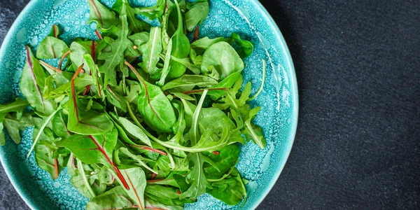 Healthy Salad Leaves Mix Salad Mix Micro Green Juicy Snack — 图库照片