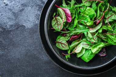 Sağlıklı salata, yapraklar karışık salata (mikro yeşiller, sulu atıştırmalıklar) keto veya paleo menüsü tarifi. yiyecek arkaplanı - Boşluğu kopyala