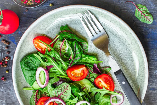 Mélange Sain Feuilles Salade Quinoa Mélange Micro Verts Concombre Tomate — Photo