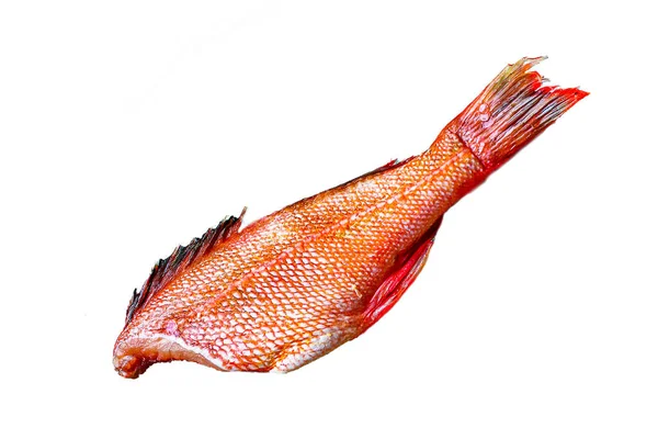 Red Sea Bass Fish Colors Raw Seafood Menu Concept Food — Stock Photo, Image