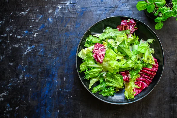 Gezonde Salade Bladeren Mix Salade Mix Micro Greens Plantaardige Sappige — Stockfoto
