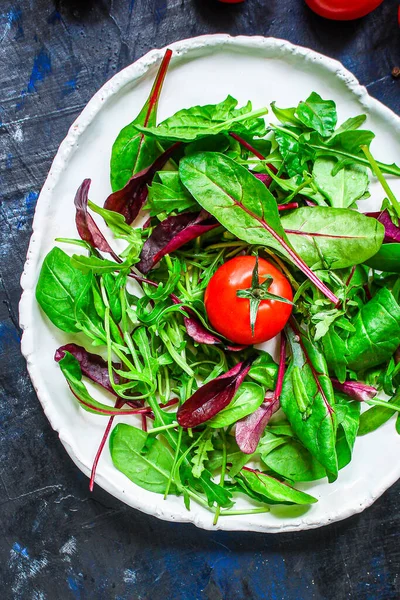 Salada Folhas Misturam Salada Micro Verdes Mistura Refeição Leve Suculenta — Fotografia de Stock