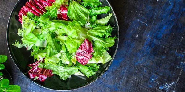 Gezonde Salade Bladeren Meng Salade Mix Micro Greens Groente Snack — Stockfoto