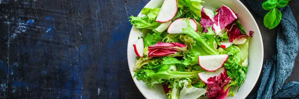 Sağlıklı Salata Yapraklar Karışık Salata Mikro Yeşillikler Sebze Atıştırmalıkları Yiyecek — Stok fotoğraf