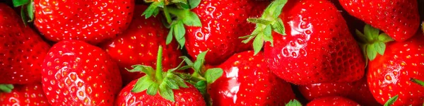 Strawberryripe Dan Juicy Berriesmenu Konsep Makanan Sehat Disajikan Ruang Salinan — Stok Foto