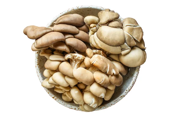 İstiridye mantarı menüsü konsepti sağlıklı yemek servisi. textketo ya da paleo diyeti için yiyecek arkaplan üst görünüm kopyalama alanı