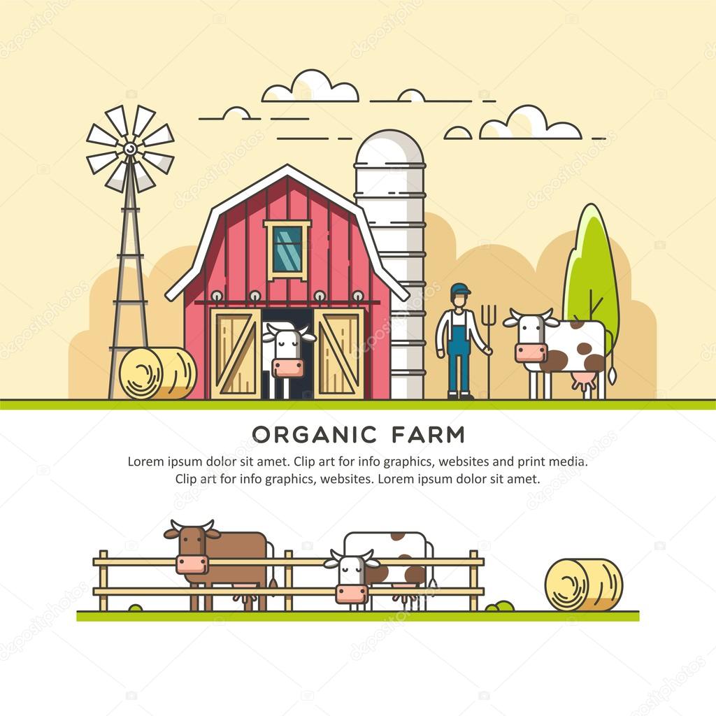Organic farm. Vector illustration.