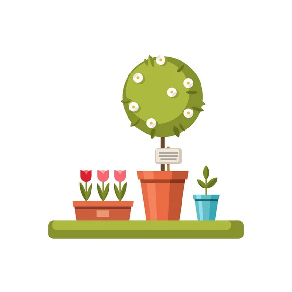 Tree and flowers in pots on white background. Vector illustration. — Stock Vector
