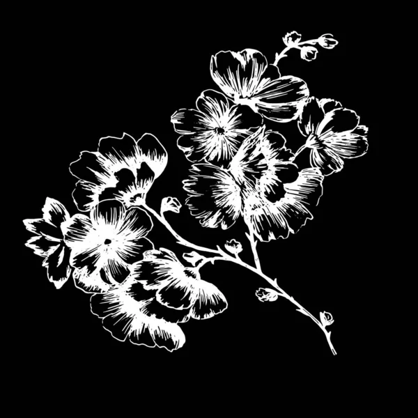 Κλάδος Λουλούδια Λευκά Μαύρα Γραφήματα Μελάνι Για Σχεδιασμό Εκτύπωση Ύφασμα — Διανυσματικό Αρχείο