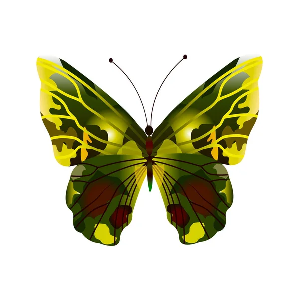 Beautiful Abstract Multicolor Butterfly Vector Illustration White Background — 스톡 벡터