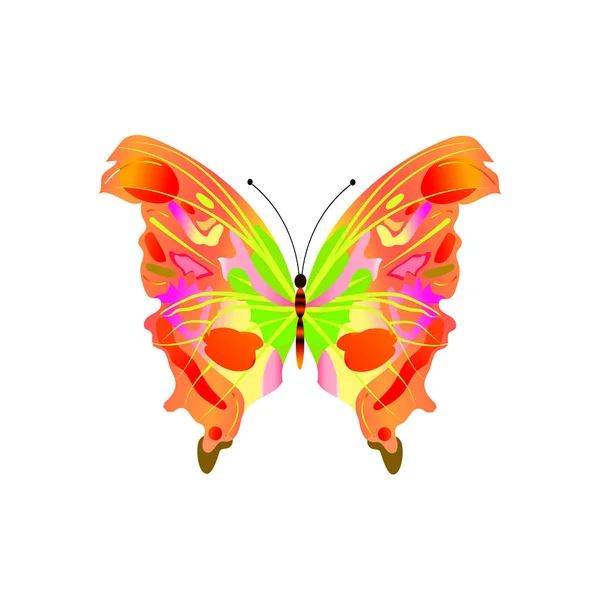 Красивая Абстрактная Многоцветная Бабочка Векторная Иллюстрация Белом Фоне — стоковый вектор