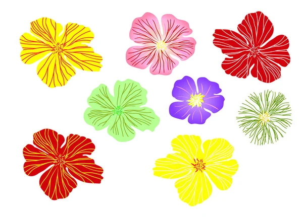 Conjunto Flores Abstratas Decorativas Vetoriais Cores Diferentes Ilustração Isolada Sobre — Vetor de Stock