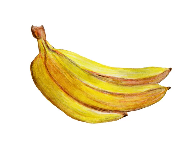 Banany Owoce Tropikalne Ilustracja Akwarela Izolowana Białym Tle — Zdjęcie stockowe