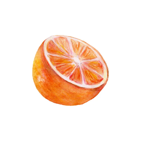 Oranje Helft Tropisch Fruit Aquarel Illustratie Geïsoleerd Witte Achtergrond — Stockfoto