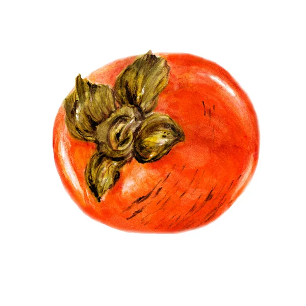 Fruit Kaki Illustration Aquarelle Isolée Sur Fond Blanc — Photo