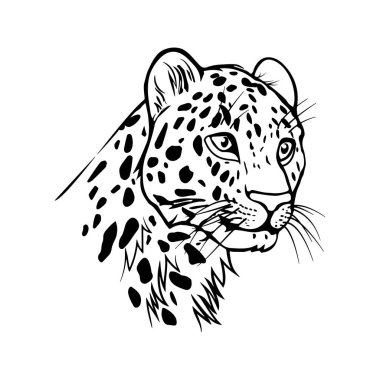 Leopar baş portresi siyah çizgiler. Beyaz arkaplanda vektör çizimi izole edildi. Tişört, dövme, tasarım elementi için yazdır.
