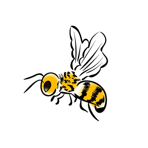 Teckenikonen Bee Insect Vektorillustration Mall För Utformning Lämplig För Kreativ — Stock vektor