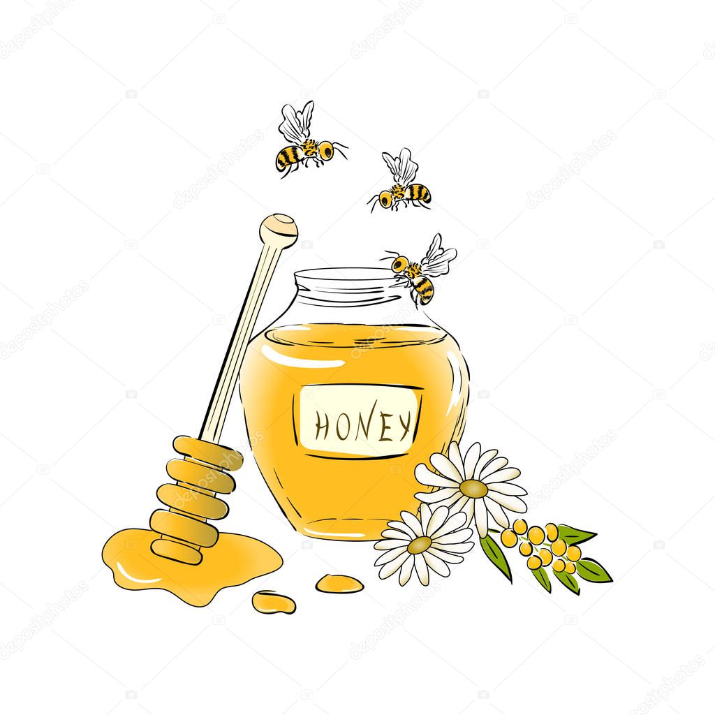 Concept with bees insects, honey jar, honey drops, dipper, flowers. color vector illustration isolated on white background. Organic Food Design Concept