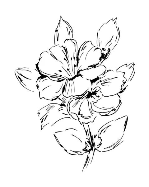 Όμορφο Σκίτσο Ενός Κλαδιού Ανθισμένα Λουλούδια Λουλουδάτο Σχεδιαστικό Στοιχείο Ξέγνοιαστο — Διανυσματικό Αρχείο