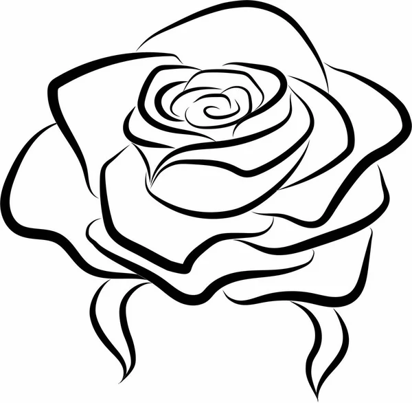 玫瑰、 插图、 图案、 形状 — 图库矢量图片#