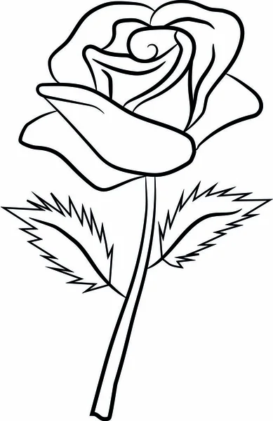 Rose, fleur, motif, pétales, feuilles, dessin, peinture — Image vectorielle