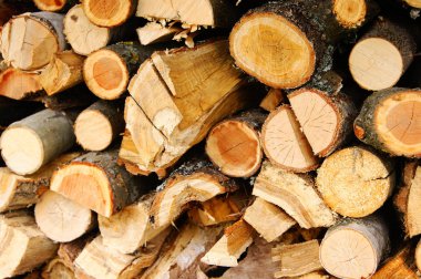 Yakacak odun, günlükleri, arka plan, yakıt, ahşap