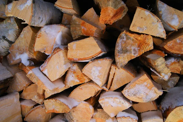Firewood Log Wood Fuel Fire Heat Nature Plant — Stock Photo, Image