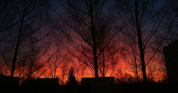Ljus Och Charmig Solnedgång — Stockfoto